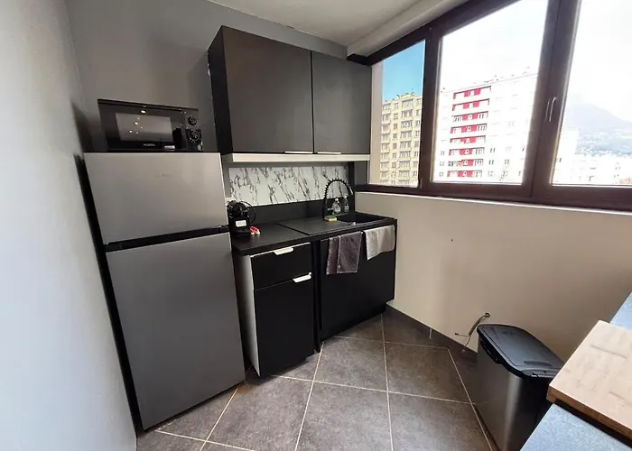 R'apparts T2 Au Pied Des Alpes Daire Grenoble